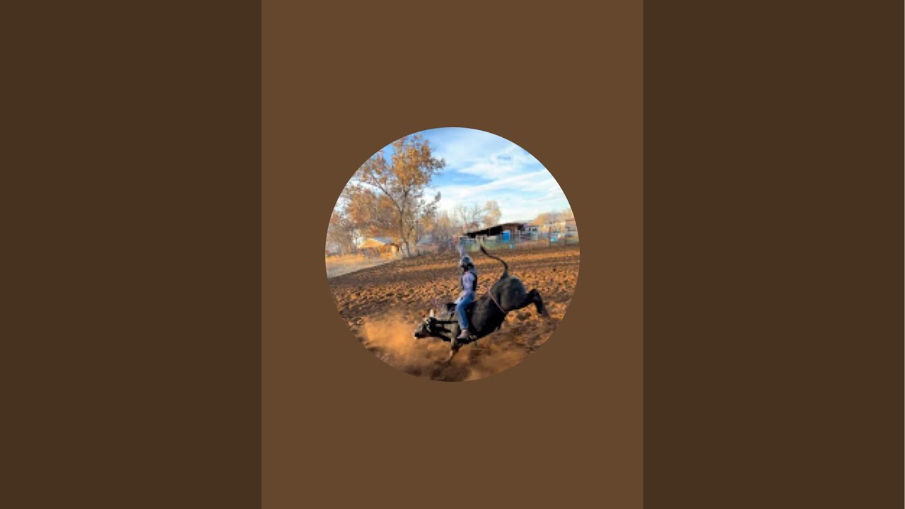 Apex legends ranked