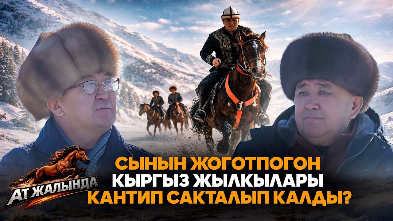 Сынын жоготпогон кыргыз жылкылары кантип сакталып калды? // 