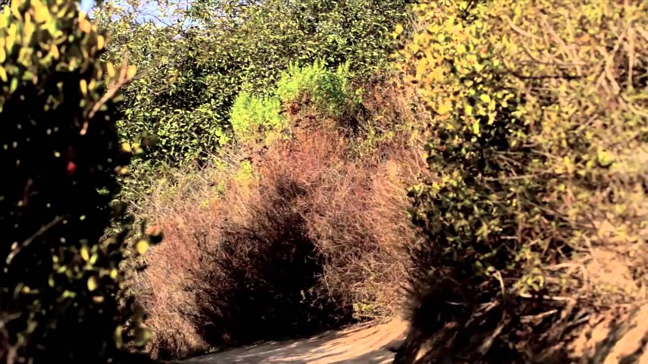 GT-Kyle Strait and Tyler McCaul in Laguna