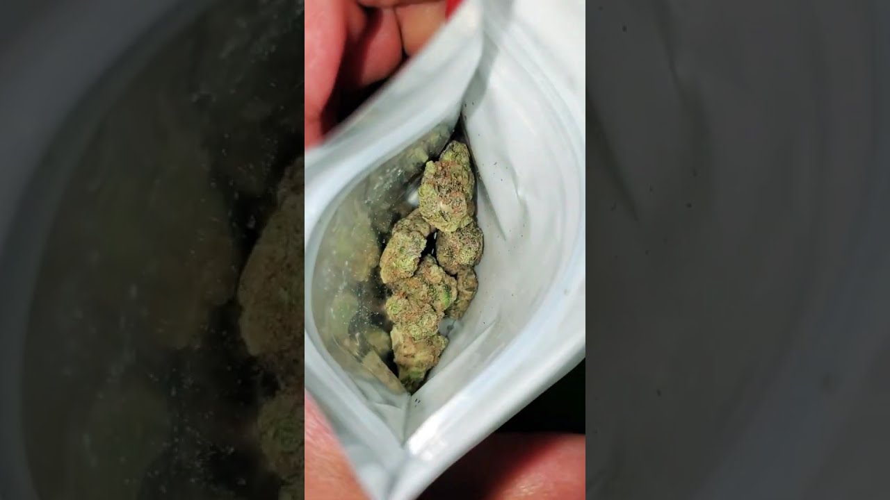 EXOTIC STRAIN REVIEW Backpackboyz Natillaz  Top Tier &bull; 5 Points LA Natillaz 🥭🔥💦