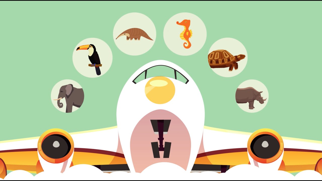 Wildlife Trafficking Awareness Training Video for Airports