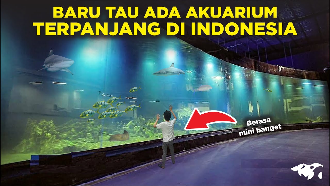 TOTALNYA 92 MILIAR! AKUARIUM TERPANJANG DI INDONESIA INILAH PIAMARI AQUARIUM DI PANGANDARAN