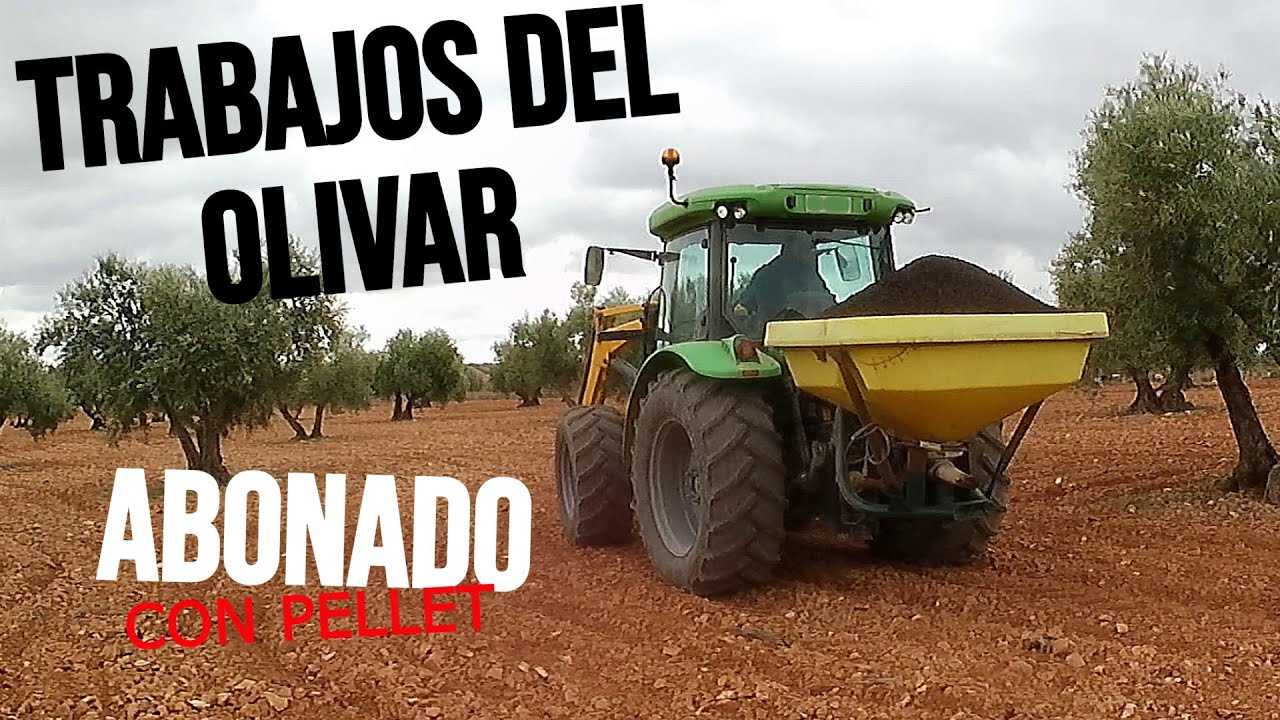 APLICANDO ABONO ORGÁNICO EN EL OLIVIAR