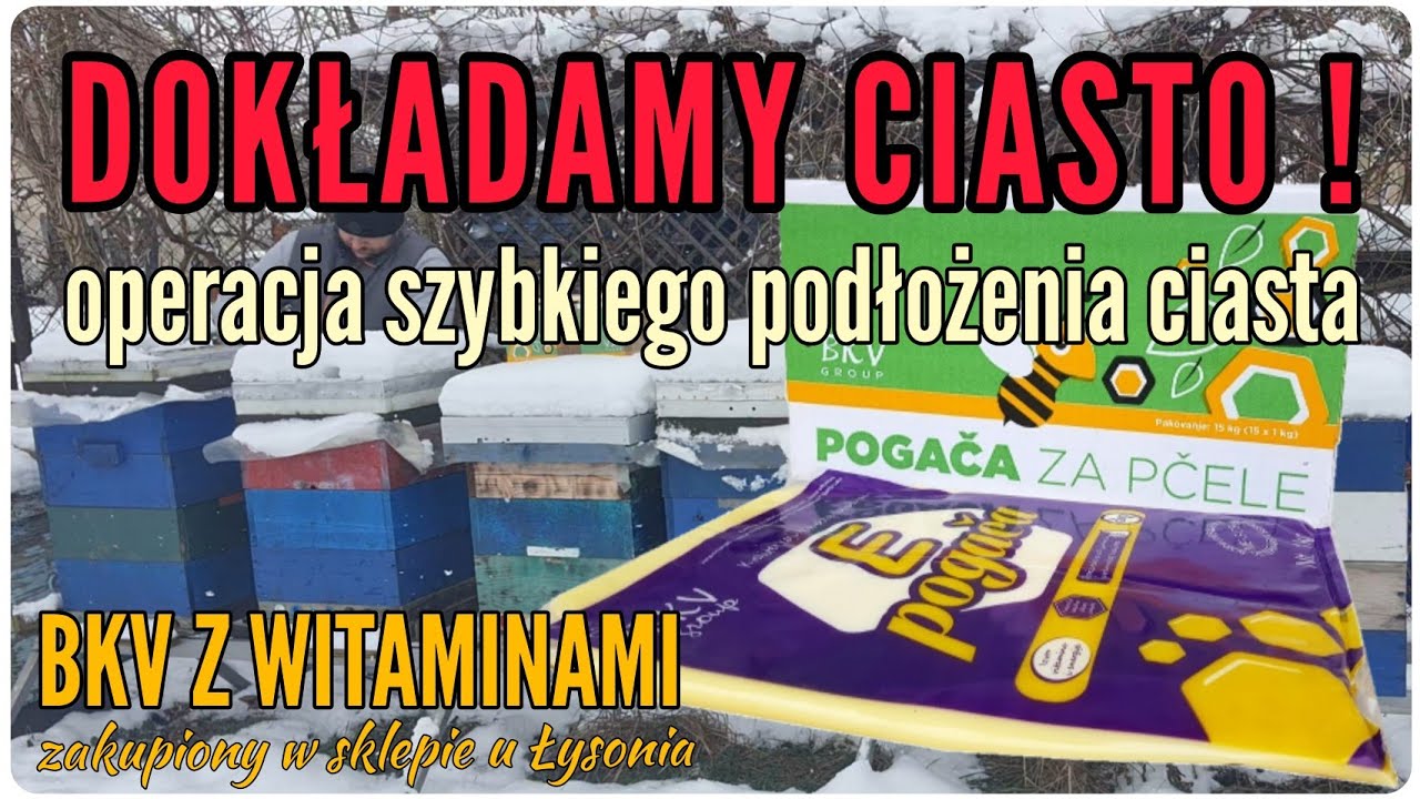 Karmimy pszczoły - ciastem #operacja #szybkiego #podłożenia #ciasta #ula #BKV #witaminy #instrukcja