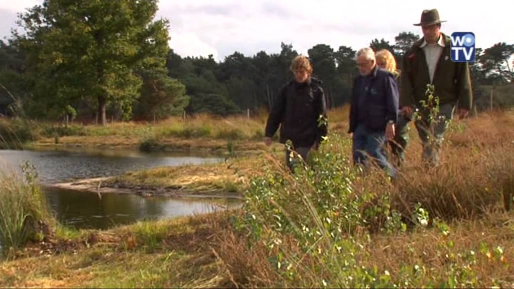 Natuur Natuurlijk - Omvorming
