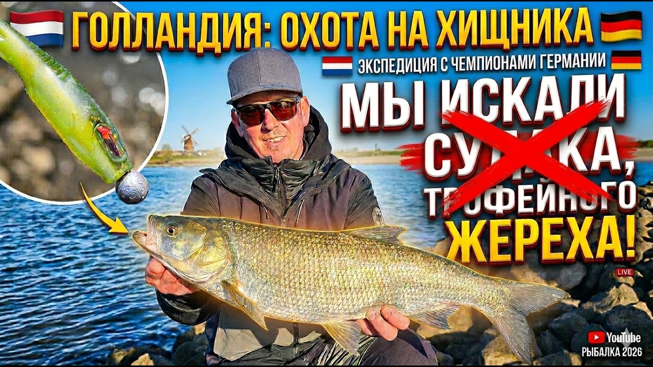 Джиг на Рейне: Мастер-Класс от Звезд рыбалки из Германии 🏆🐟🎯