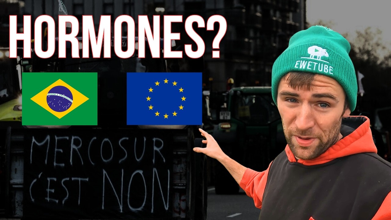 Mercosur: Farmers Are Worried — Should Consumers Be?