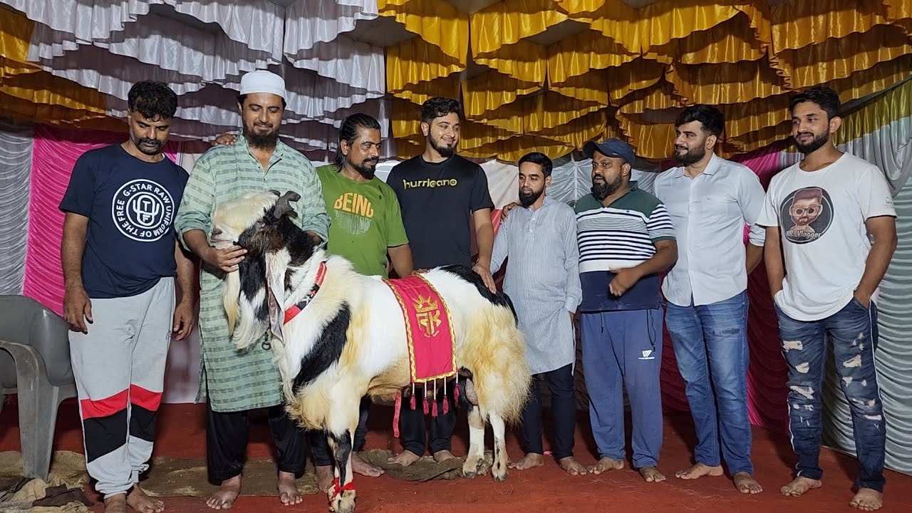 Yalgaar | RK Goat Farm | The Man Whom We Love For Revolution In Goat Industry.
