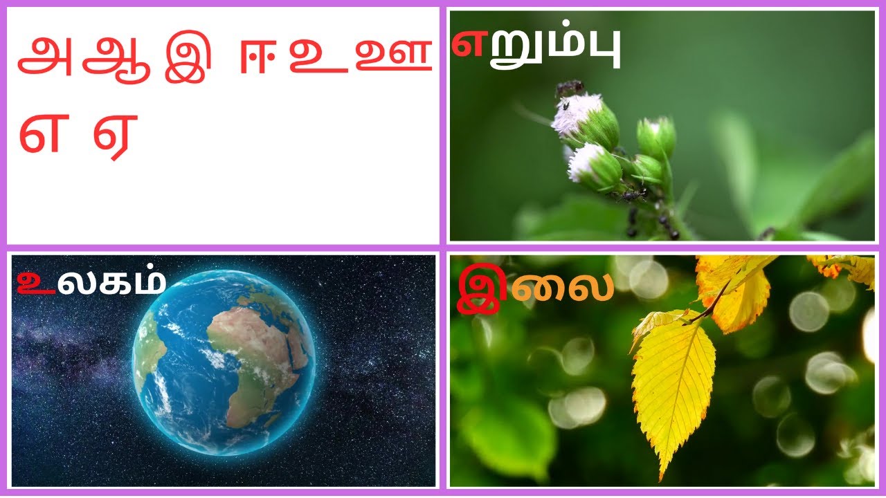 அஆஇஈ உயிர் எழுத்துக்கள்|Uyireluthukkal|Tamil Alphabets|Aaaaeiee#aaaaeiee #uyirezhuthukal