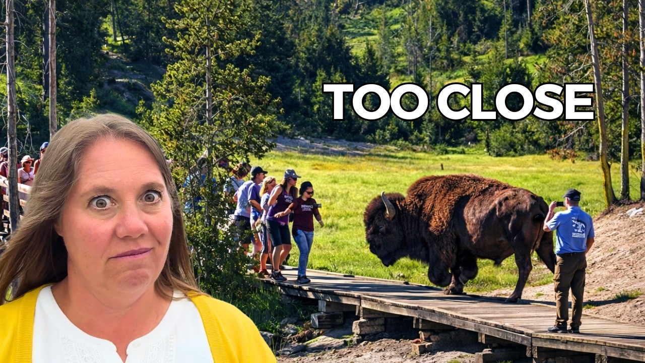 Mistakes to Avoid When Visiting Yellowstone!