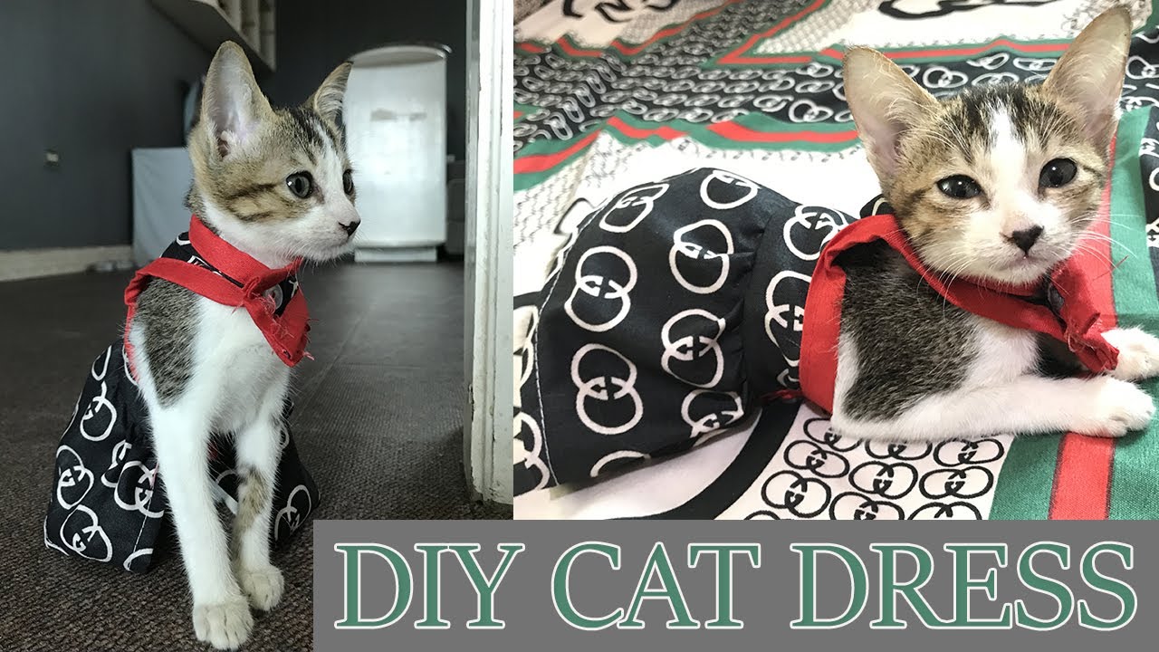 Style 23 : How to make Cat Dress Clothes | DIY Pet/Cat Dress Clothes | With Pattern