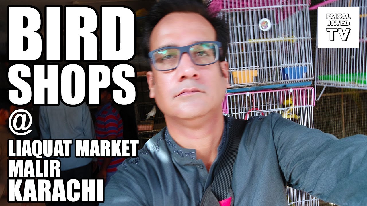 Bird Shops | Liaquat Market Malir Karachi | Faisal Javed TV | Video in URDU/Hindi