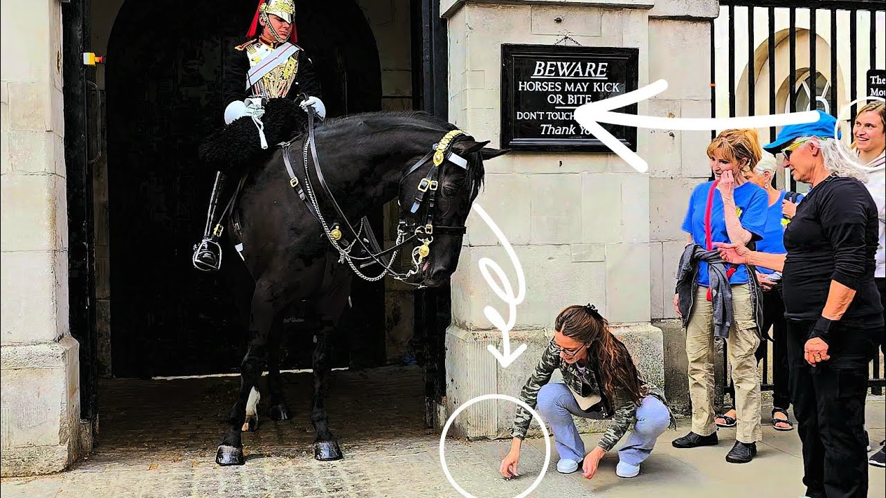 ADORABLE ROYAL GUARD IS BACK: King's Guard Allows Tourist to Feed His Horse at Horse Guards London