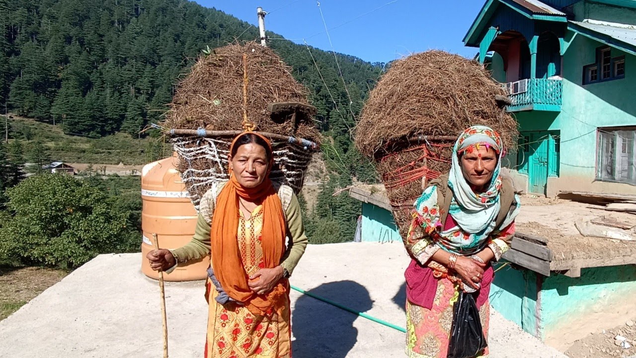 Bhaderwah Valley ♥️ ( Jammu and Kashmir) Unexplored Jammu♥️ village life 🥰Mini Kashmir Bhaderwah ♥️
