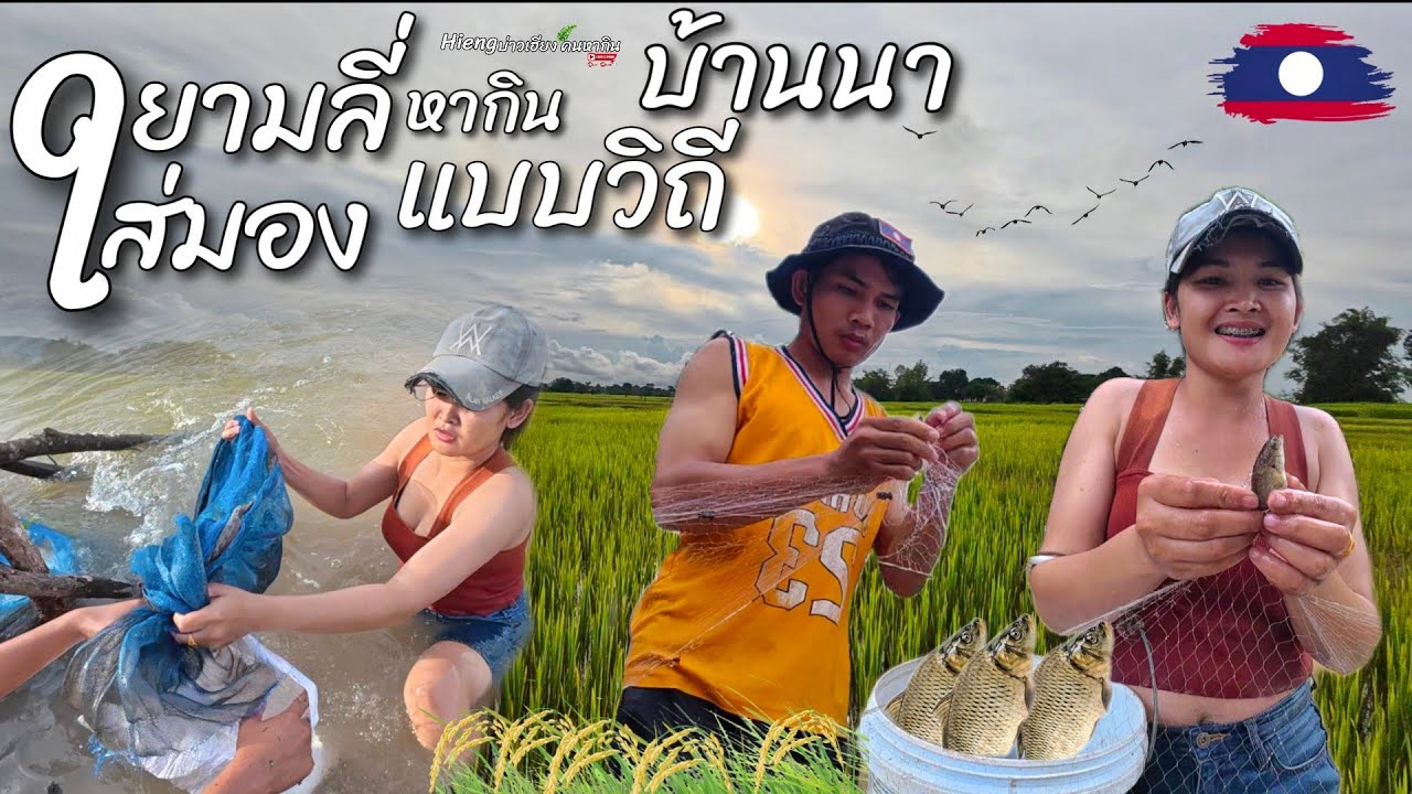 1ตุลาคม.ค.ศ 2025 ยามลี่ใส่มองจับปลาวิถีบ้านนา//ຢາມລີ່ໃສ່ມອງວິຖີບ້ານນາ Hieng บ่าวเฮียง คนหากิน