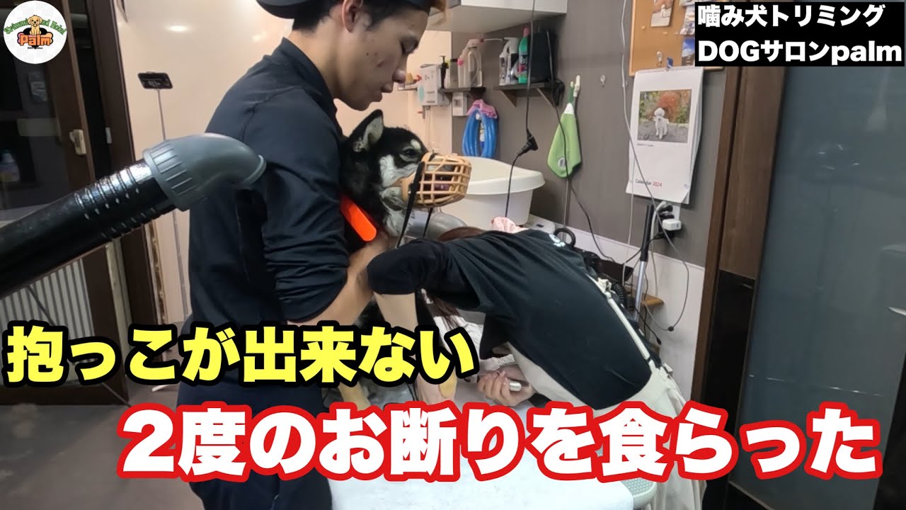 【初来店】サロンが出禁の柴犬ご来店！名前がなんとあの有名キャラクター？？