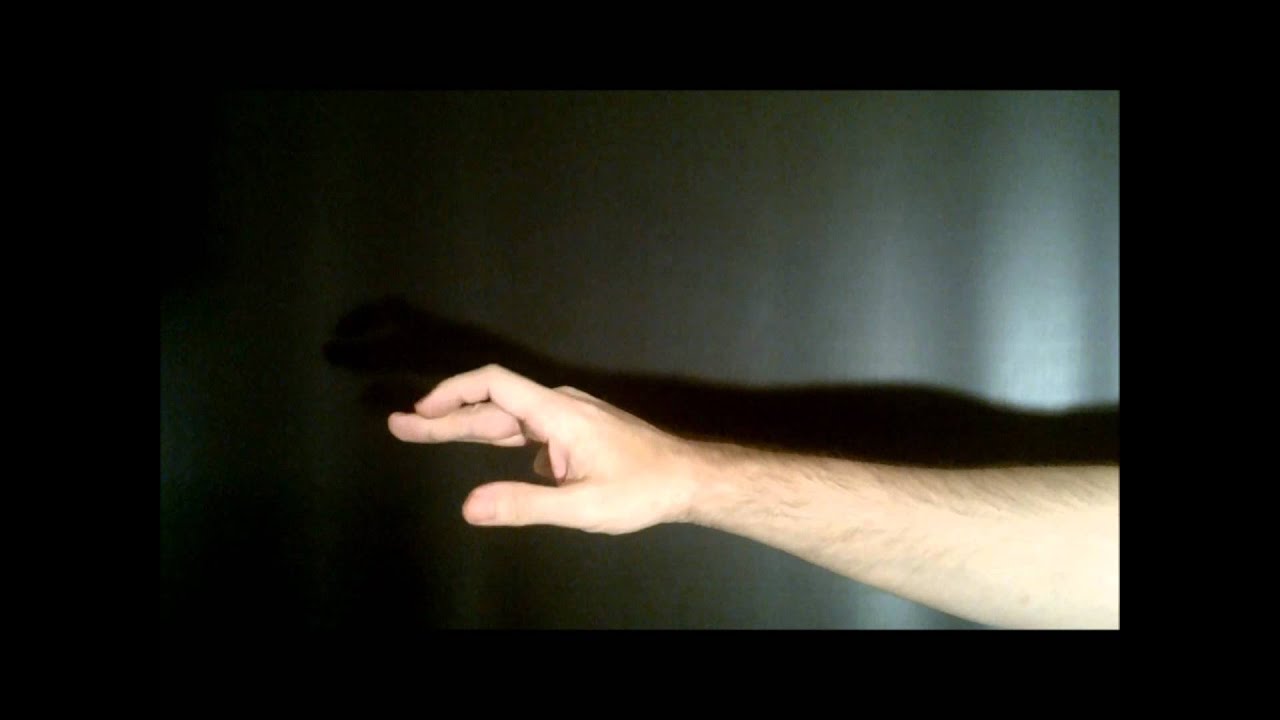 Tutorial Ombre Cinesi: Anatra