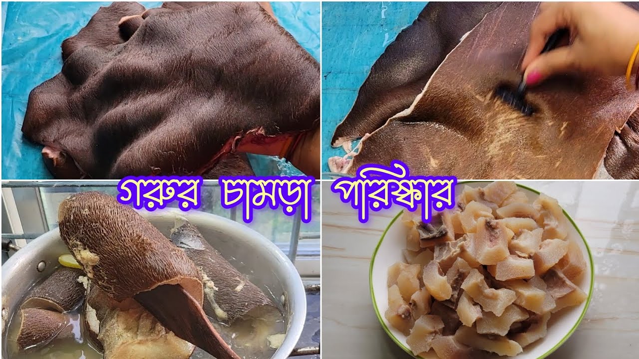 গরুর চামড়া ফেলে দেবেন না মাংস না খেয়ে চামড়া খান বেচে যাবে হাজার হাজার টাকা।