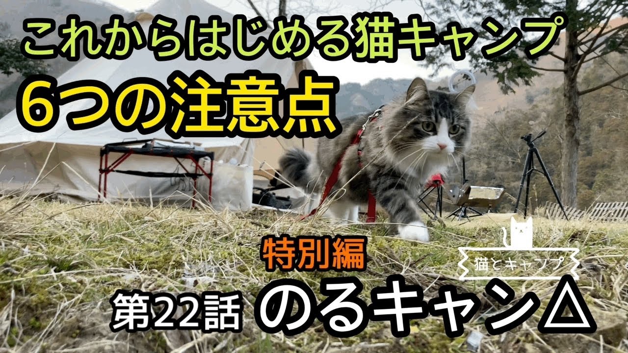 【猫とキャンプ】のるキャン△22話 特別編「これからはじめる猫キャンプ 6つの注意点」