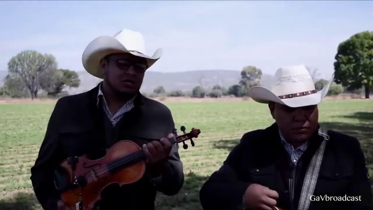 Escuchemos Huapangos Huastecos!