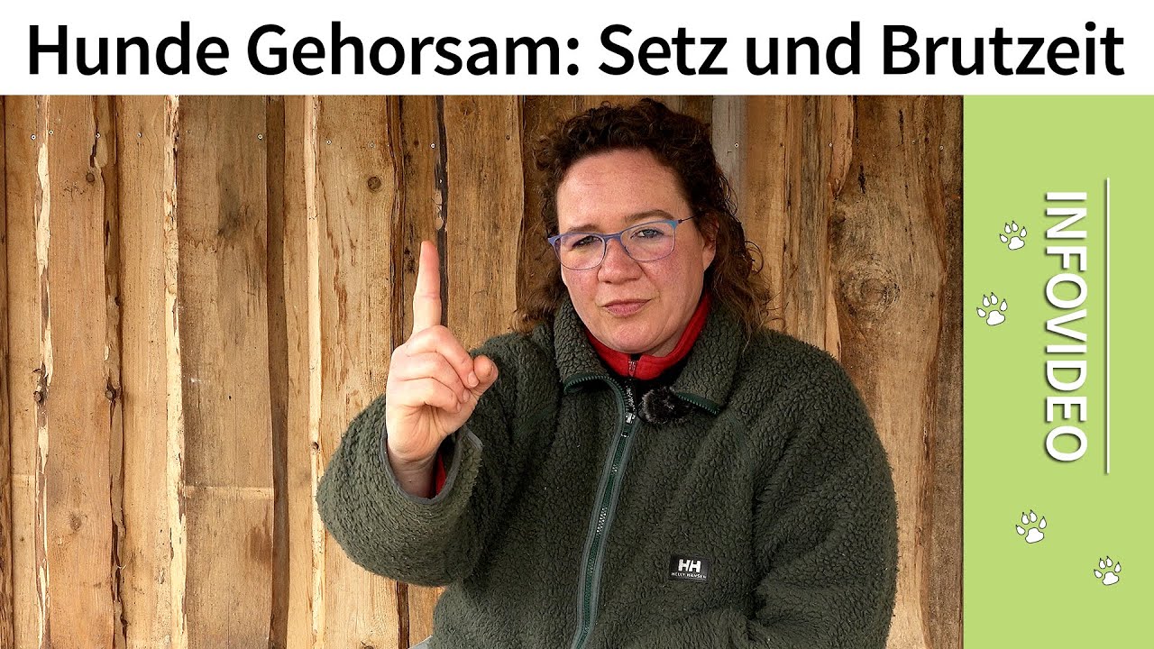Hund Gehorsam beibringen ➡️ Wie du die Setz und Brutzeit daf&uuml;r nutzt! ✔️