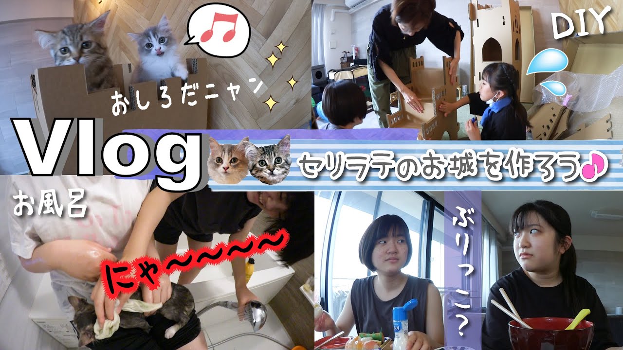 ★Vlog★セリラテお風呂に入る！ネコのダンボールお城をつくっちゃお♪