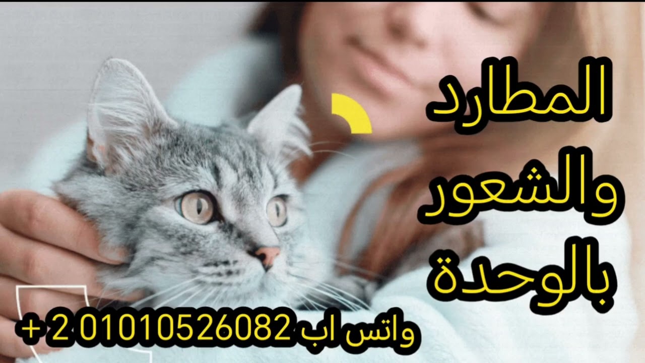 طاقة المطارد والشعور بالوحدة 😔 وازاي نتجاوز الطاقة فيديو 🔥