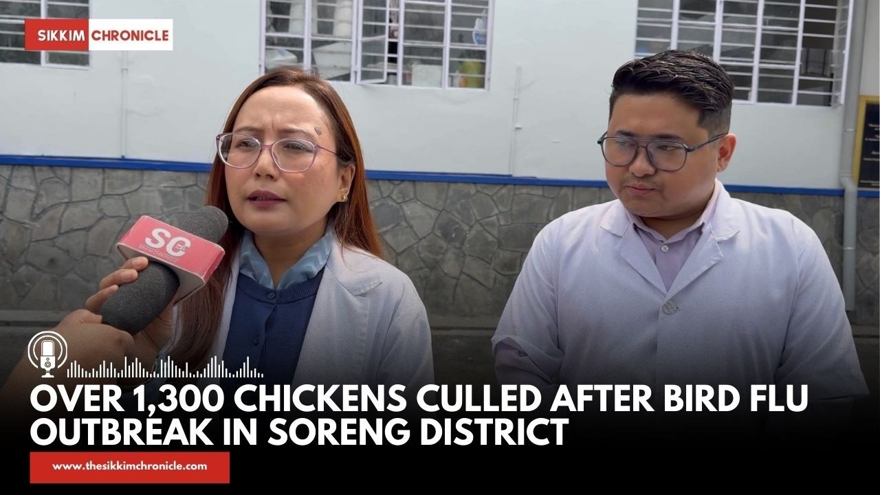Over 1,300 Chickens Culled After Bird Flu Outbreak in Soreng District