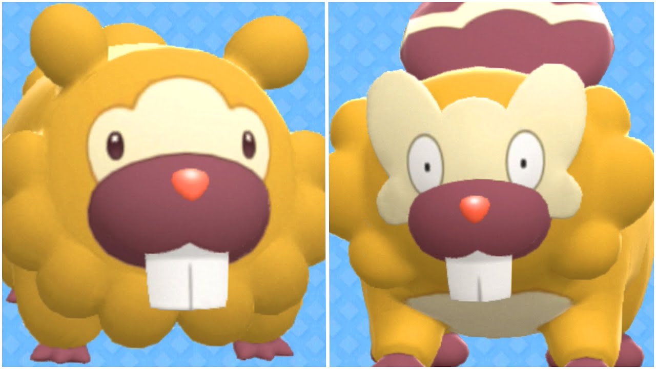 FULL BIDOOF EVOLUTION TEAM! Shiny Bidoof, Shiny Bibarel - How To Use Bibarel & Bidoof