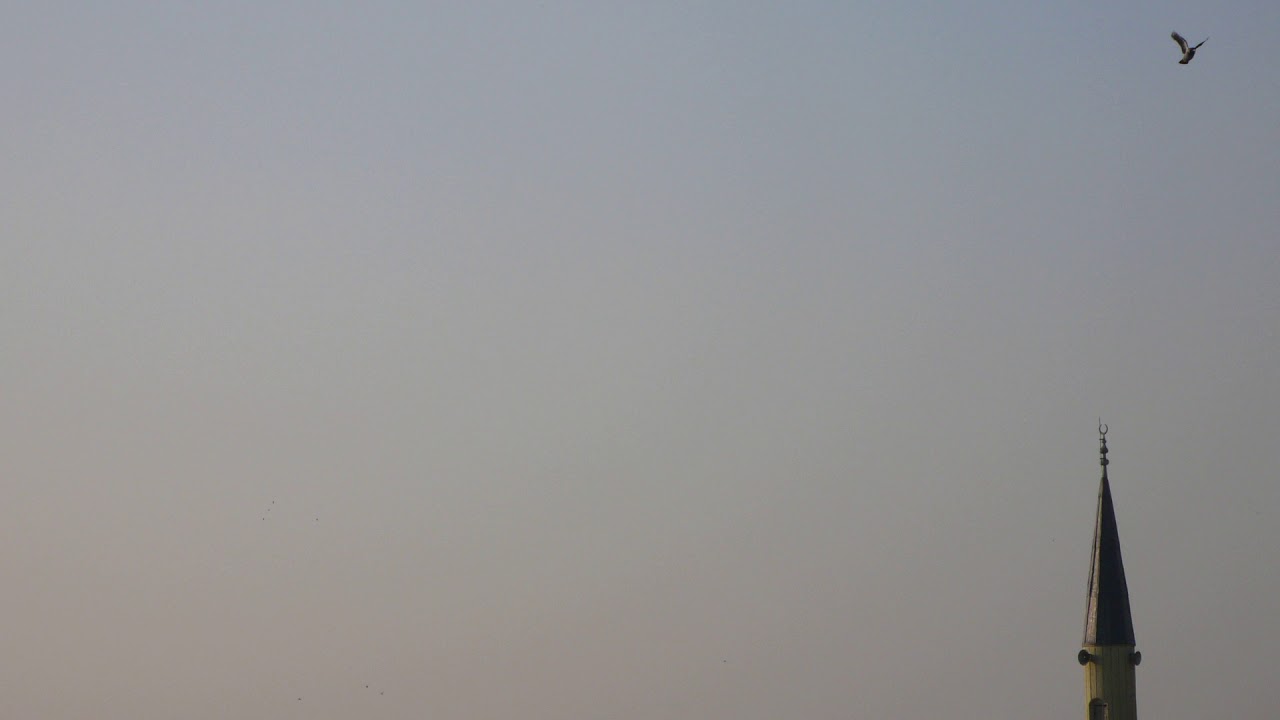 Talvin Singh | I of the Bird