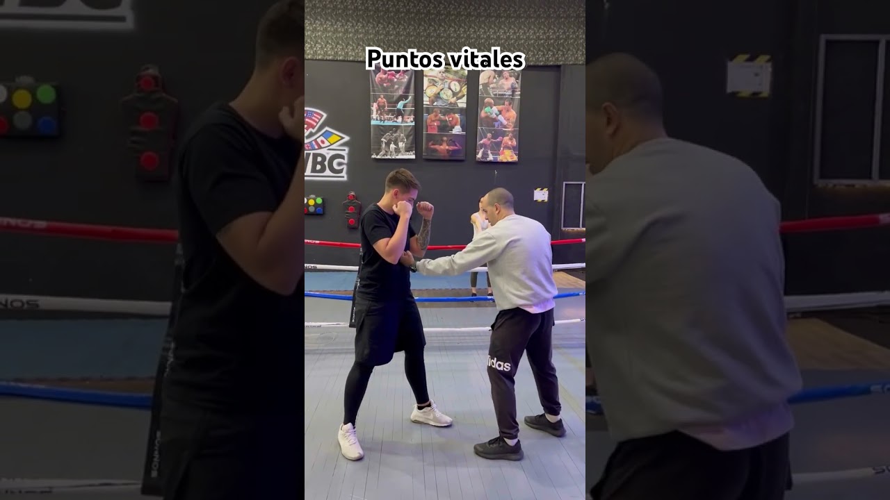 Puntos vitales fundamentales. #boxeo #boxing #boxinglife