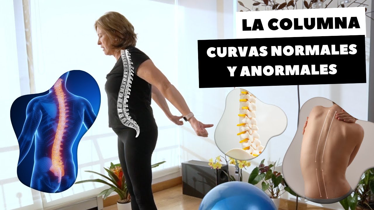 LA COLUMNA - CURVAS NORMALES Y ANORMALES