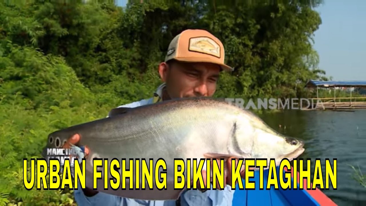 [FULL] URBAN FISHING BIKIN KETAGIHAN | MANCING MANIA STRIKE BACK (09/08/25)