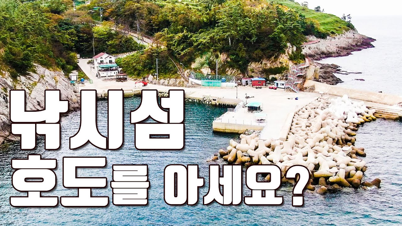 [다리tv] 낚시섬 호도를 아세요?! 낚시&펜션&캠핑!!! ☆ 고래빼고 다 잡는 섬?!☆