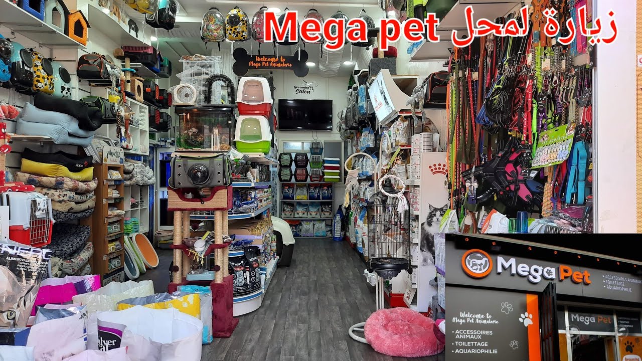 متجر لبيع جميع لوازم  وأكل الطيور🦜القطط و الكلاب🐕‍🦺 animalerie Mega pet   casablanca #سوق_القريعة