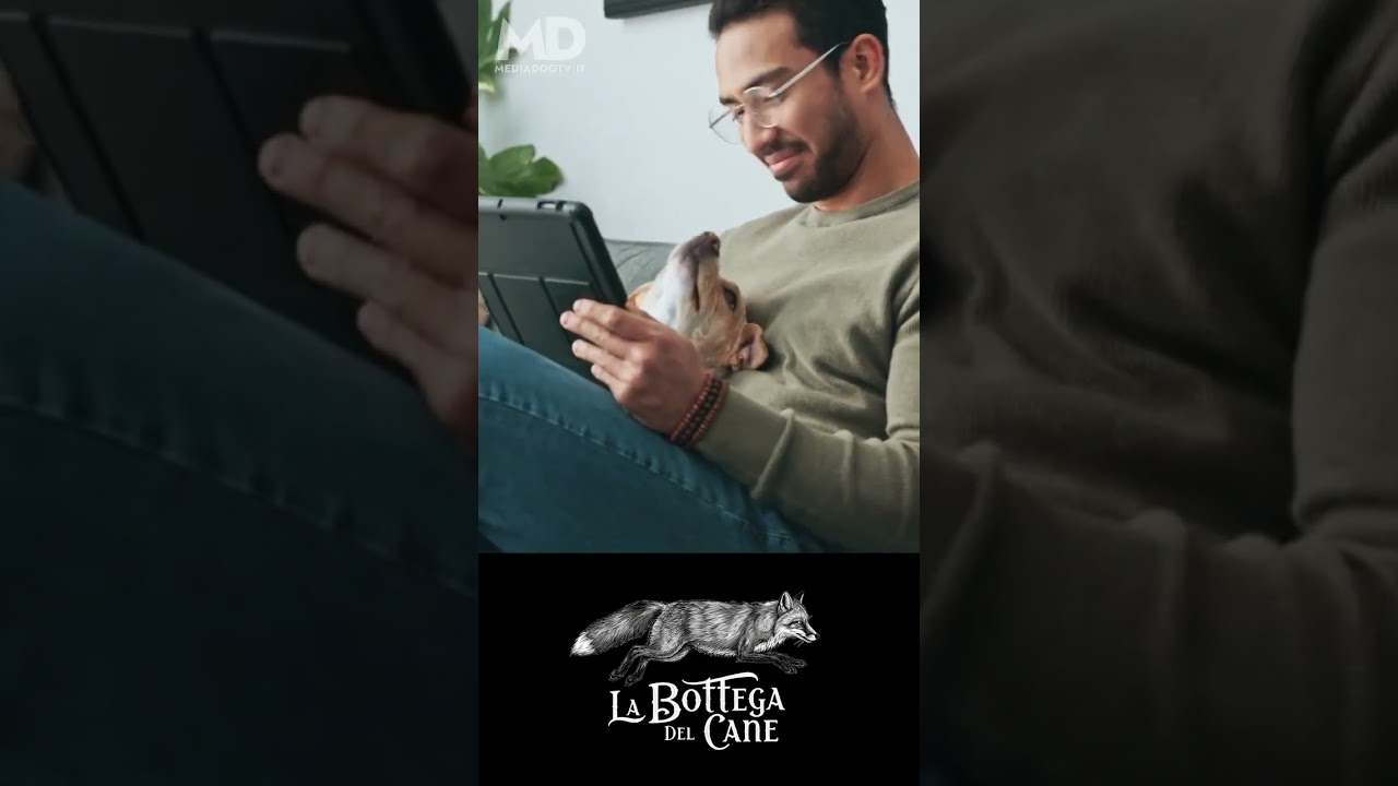 LBC LA PENA DELLA SOLITUDINE EPISODIO 2 ANSIA DA SEPARAZIONE DEL CANE