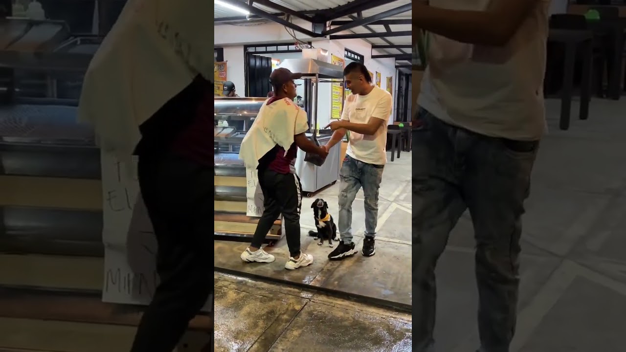 Toca al perrito de las bendiciones y mira la magia