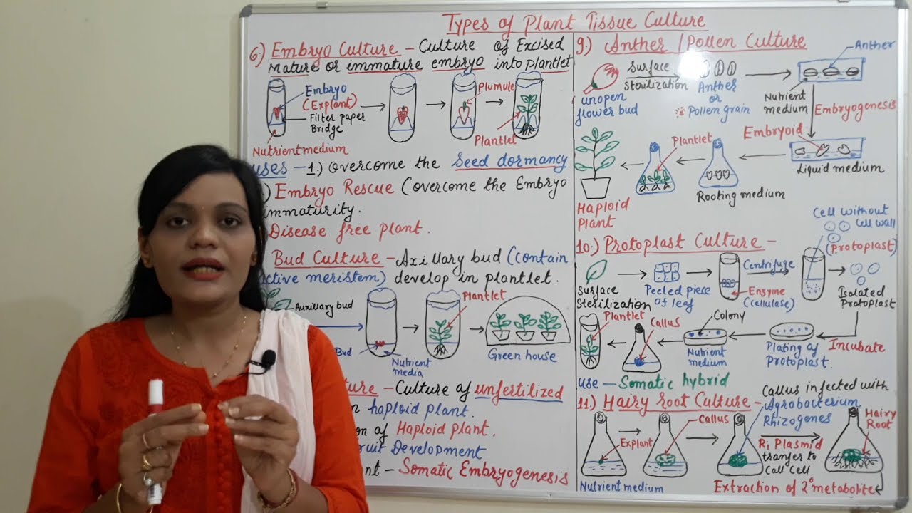 Class (39) = Plant Tissue Culture (Part 05) | Different Types of Plant Tissue Culture (Part 02)