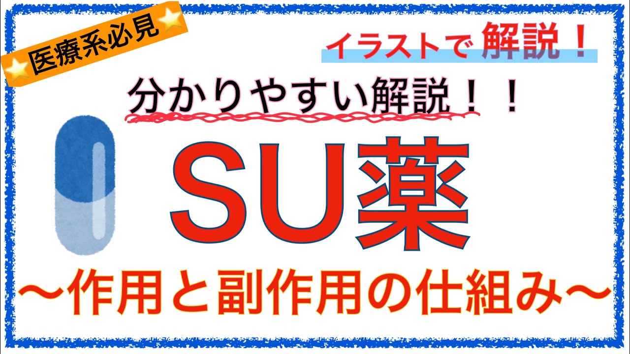 教科書をわかりやすく！「SU薬の作用・副作用機序とは」肥満になる仕組みをわかりやすく解説！