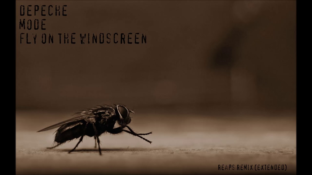 Depeche Mode - Fly On The Windscreen (Reaps Remix) (Extended)