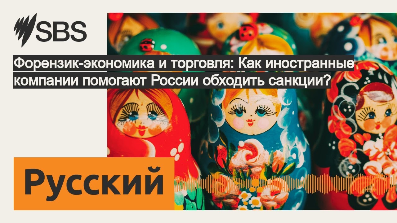 Форензик-экономика и торговля: Как иностранные компании помогают России обходить санкции? | SBS...
