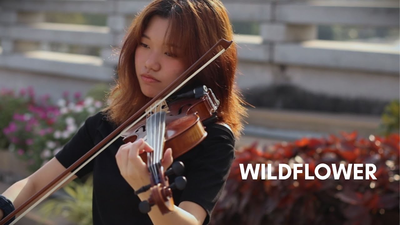 Billie Eilish - WILDFLOWER - Violin Cover by IAmLast