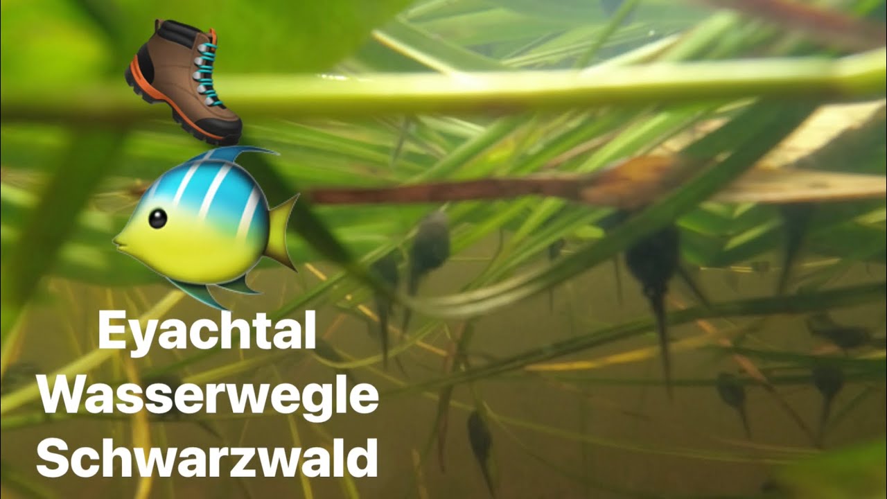 Eyachtal Schwarzwald Wasserwegle Wanderung