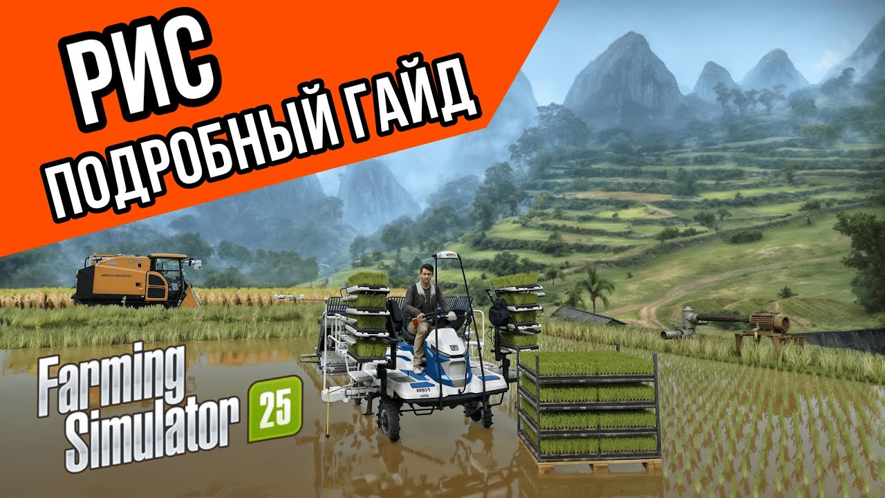 Рис: подробный гайд | Farming Simulator 25