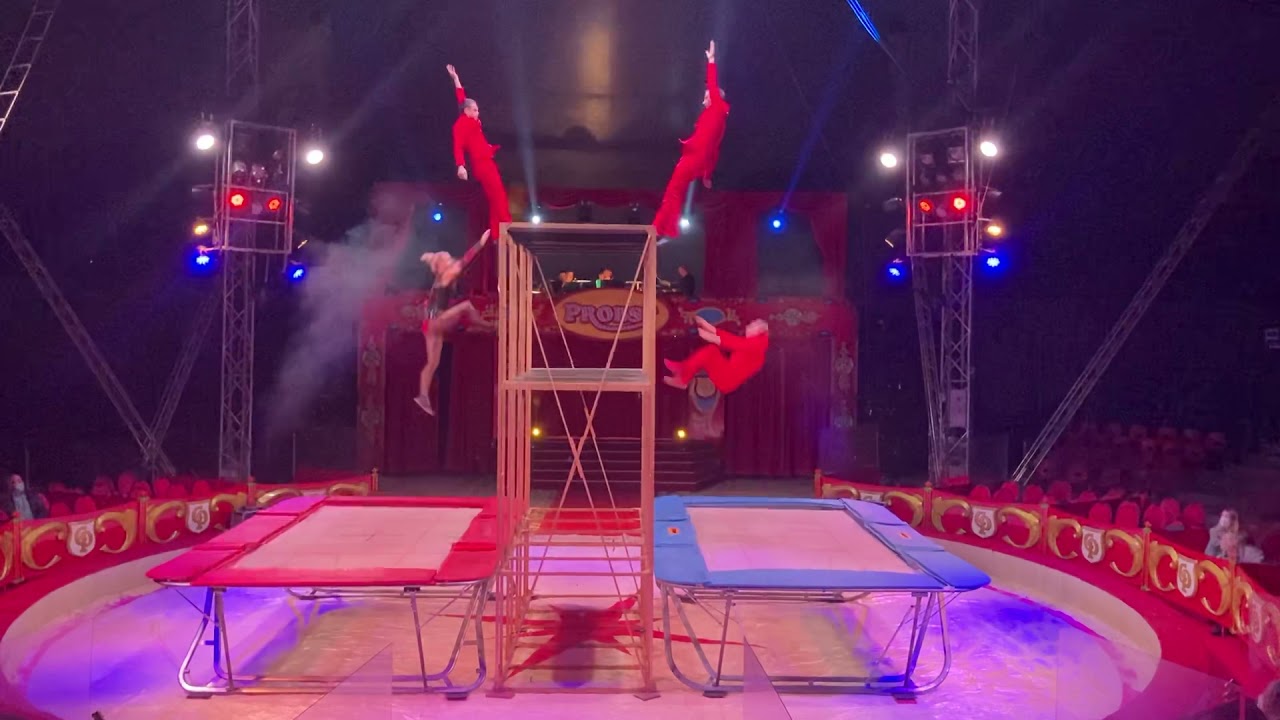 Circus live orchestra Probst 🇩🇪2021-2022 - Batut music