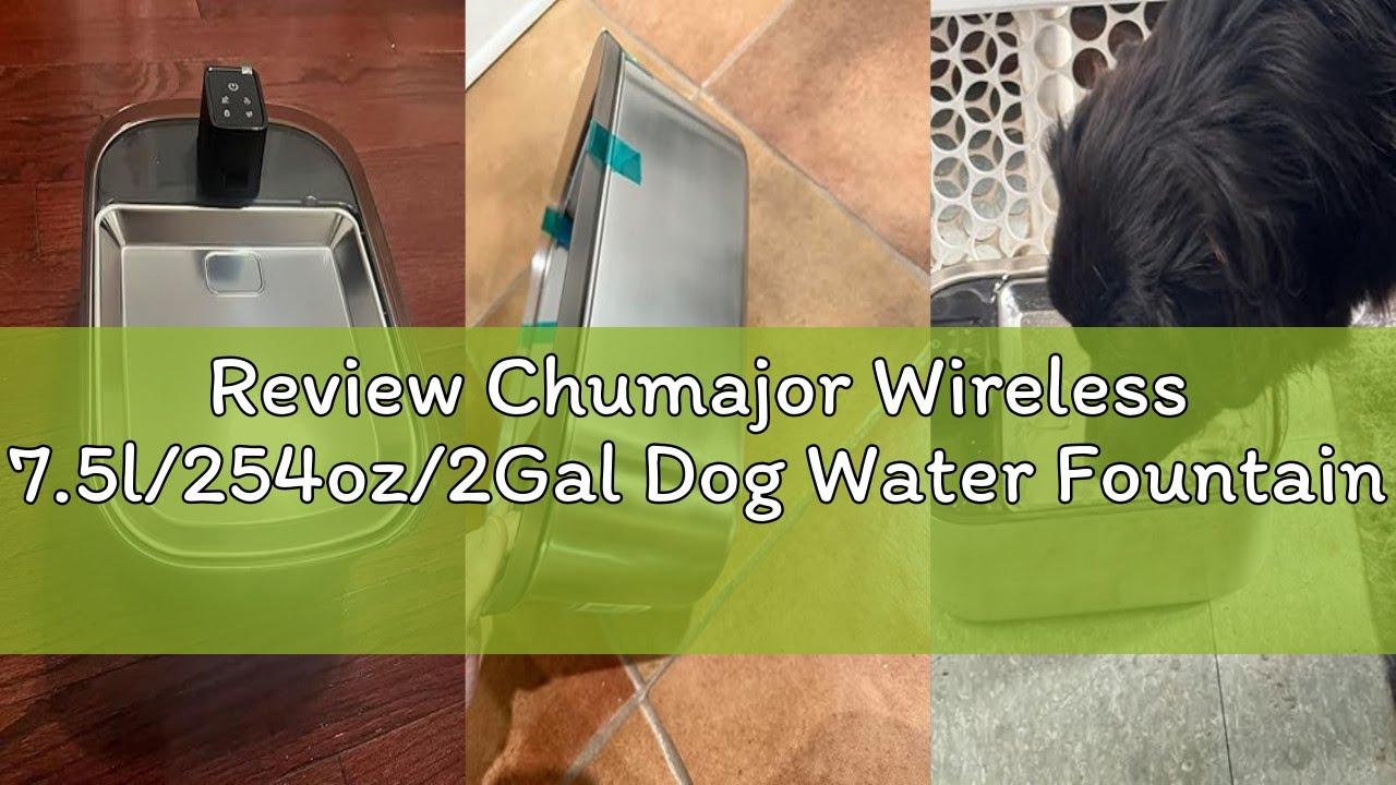 Review Chumajor Wireless 7.5l/254oz/2Gal Dog Water Fountain for Large Dogs Stainless Steel, Quiet Pe