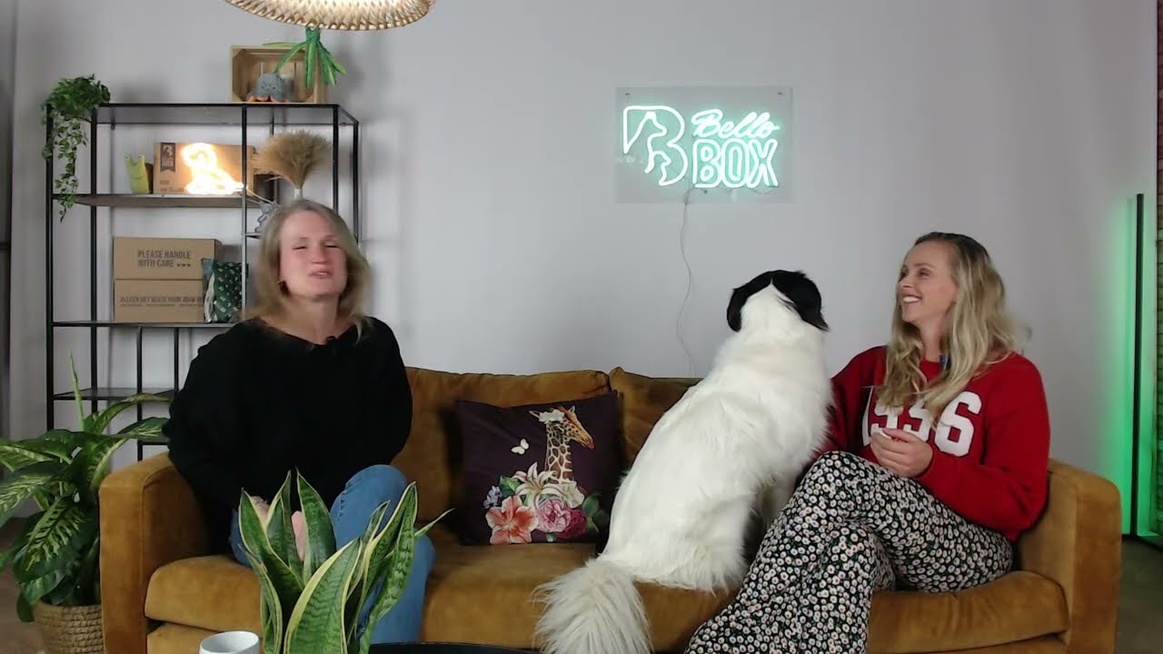 Bellobox Webinar een gezond gebit