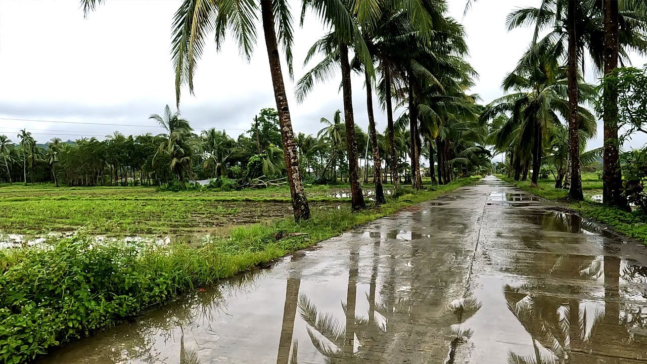 Brgy Pagsang-an Odiongan Balocawehay Abuyog Leyte Wet Road Trip