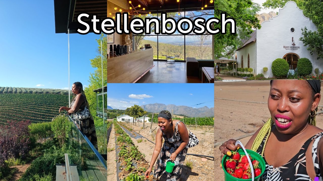 Stellenbosch Touring | Tokara Wine Tasting | Rust En Vrede Wine Estate | Strawberry Picking 🍓 