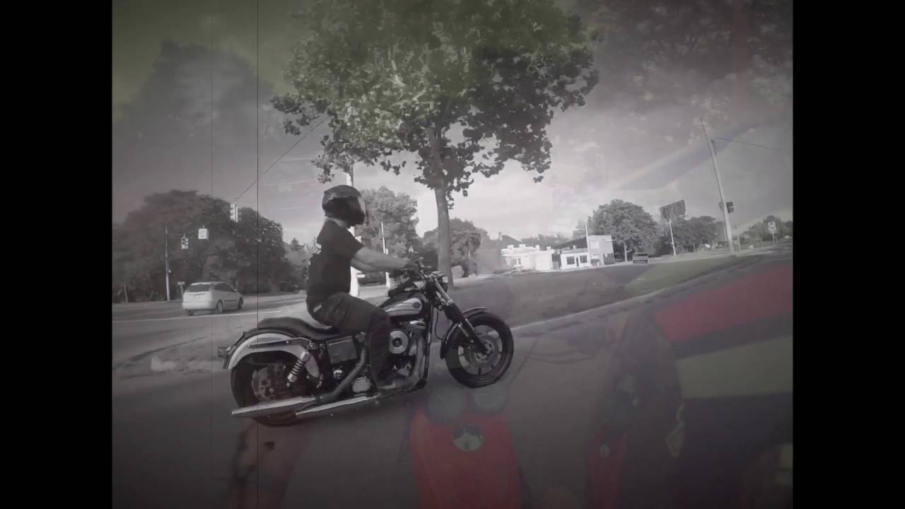 Michigan Harley Wheelies